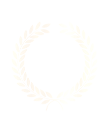 20260817 - 13th anniversary logo